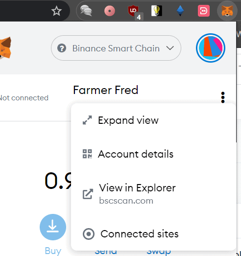 Using the three dots menu in MetaMask to access wallet info in the network explorer.