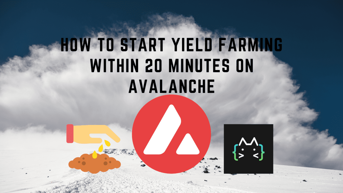 How To Start Yield Farming Within 20 Minutes on Avalanche