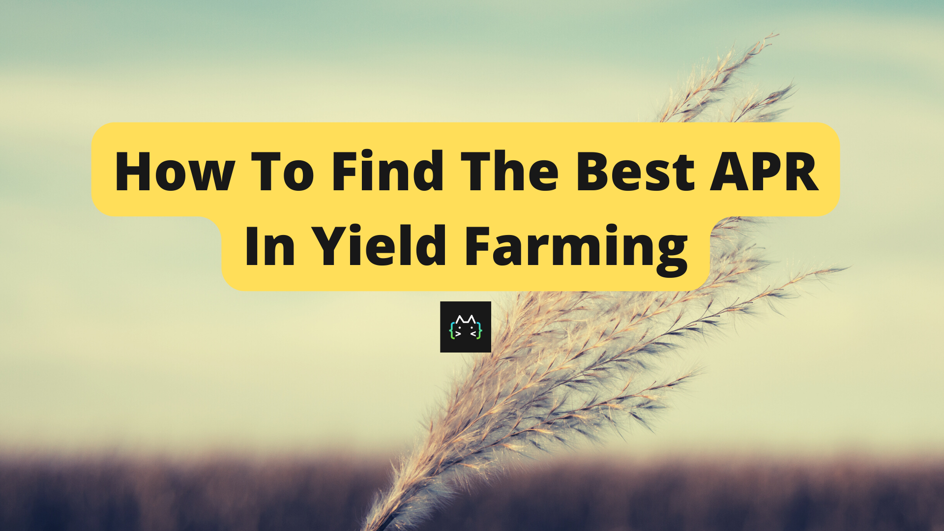 How To Find The Best APR In Yield Farming