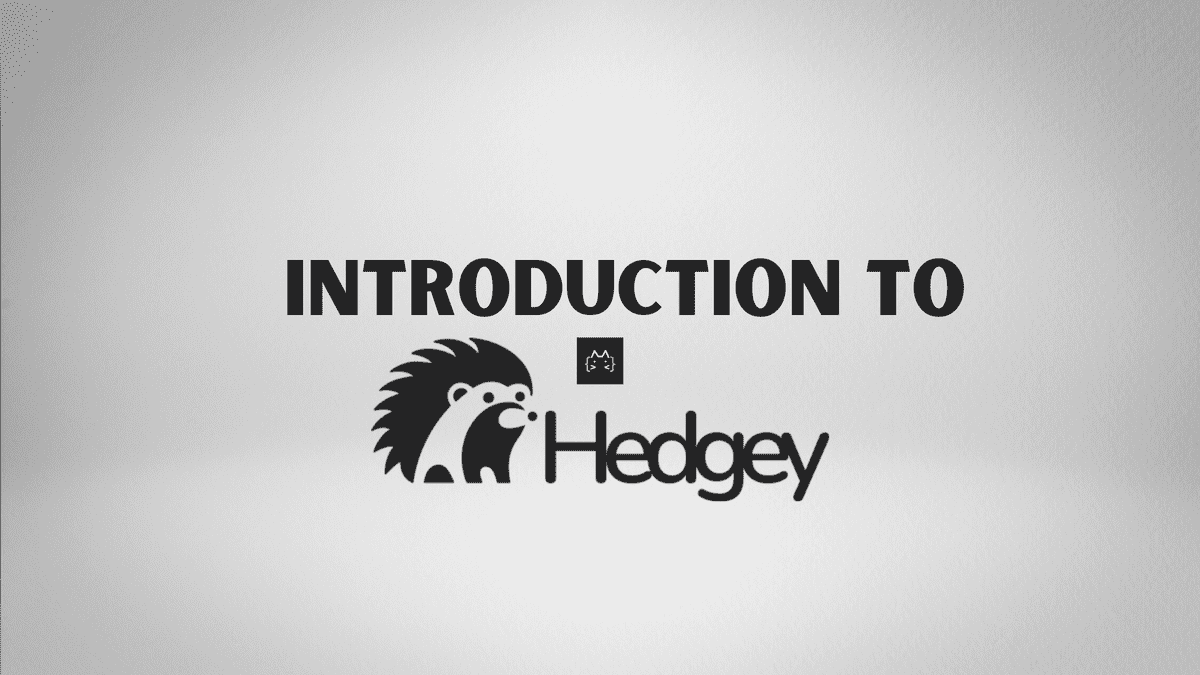 Introduction To Hedgey Finance