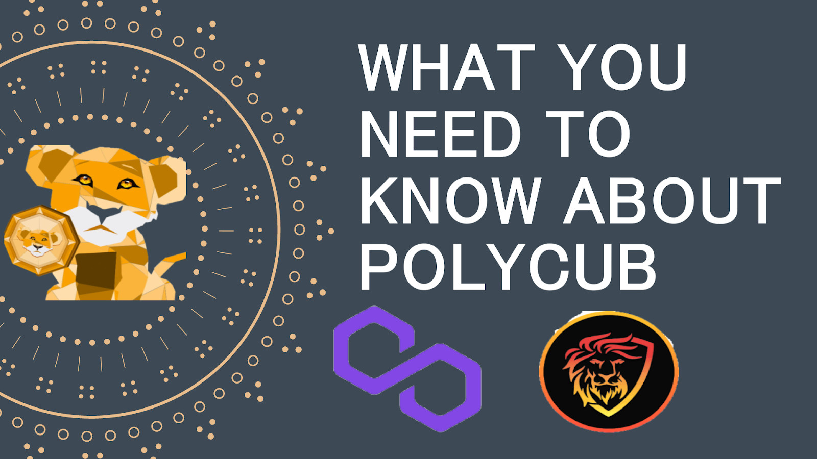 what you need to know about polycub