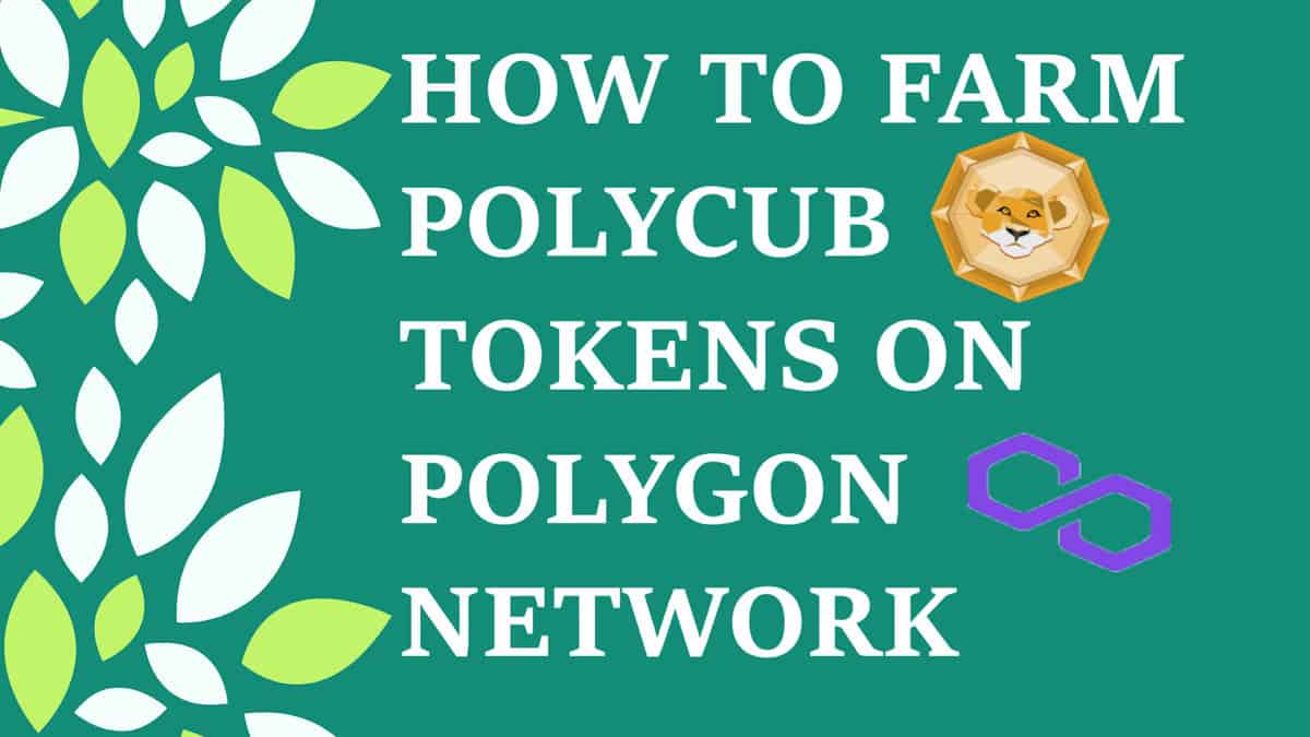 How to farm polycub tokens on polygon network