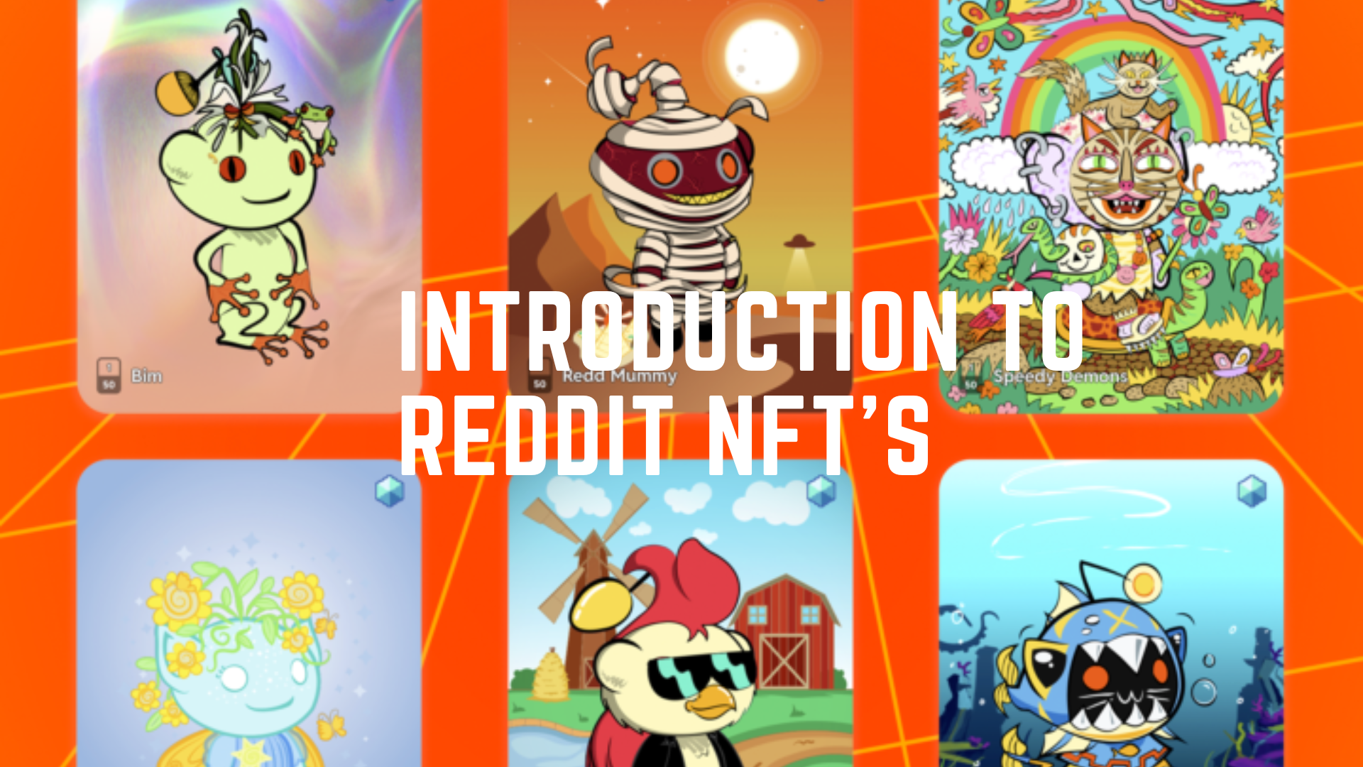Introduction to Reddit NFT's