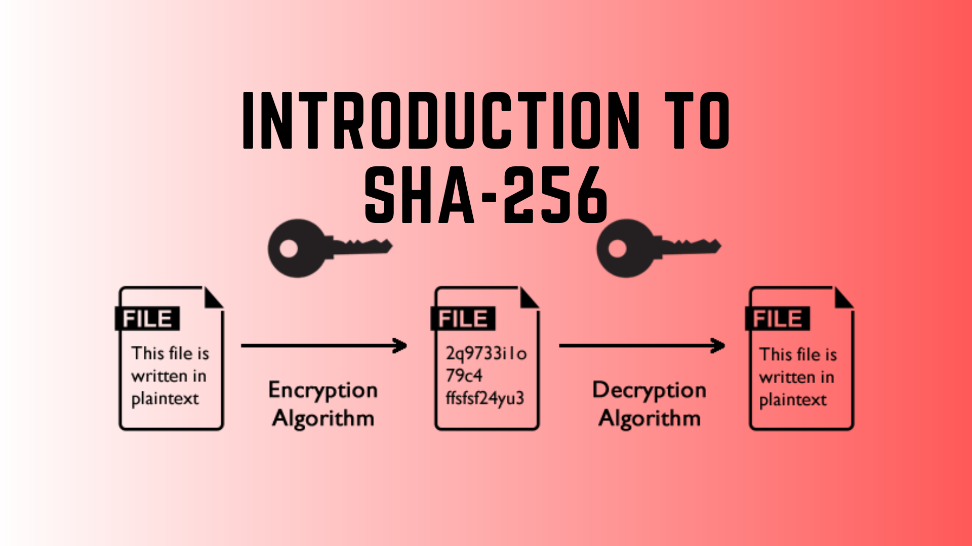 Introduction to SHA-256