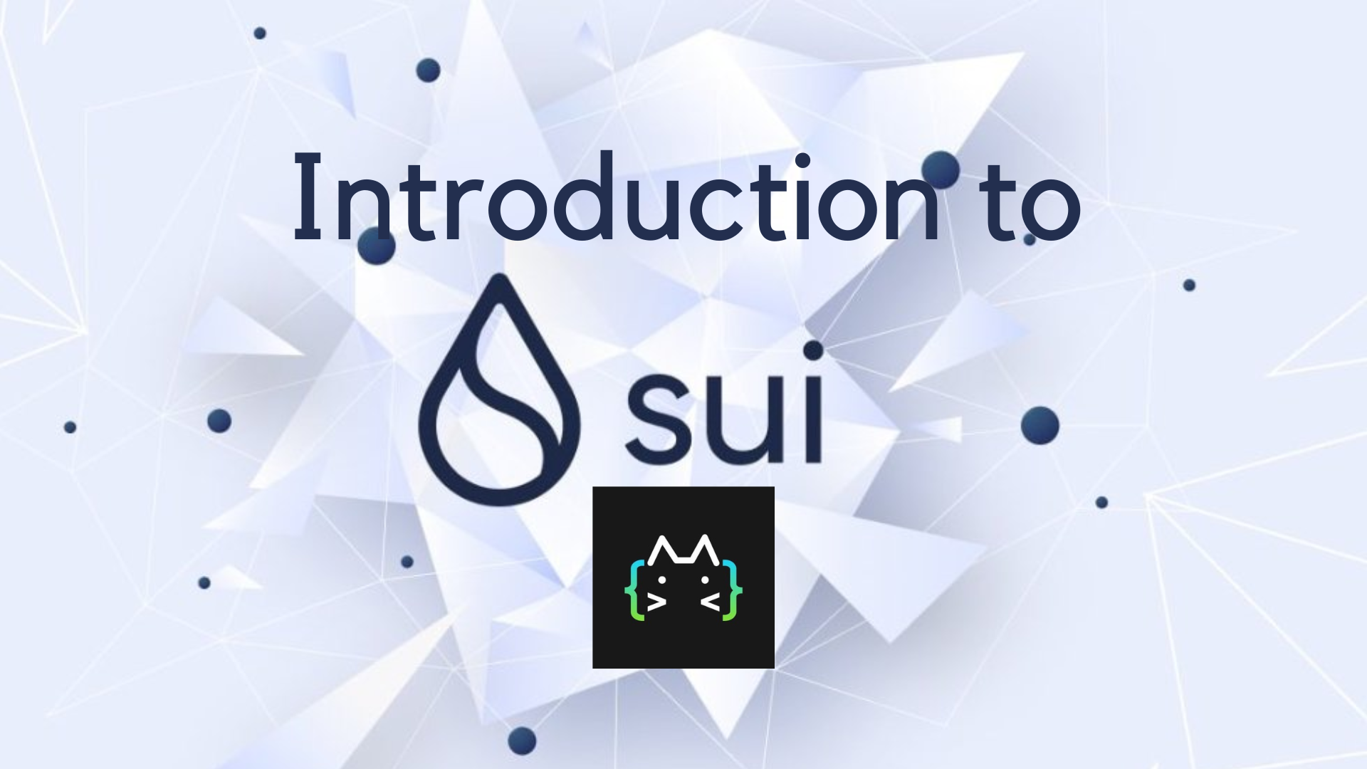 Introduction to the SUI network